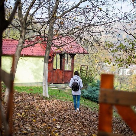 Holiday Home Nanin Konak 2 Vrdnik Esterno foto
