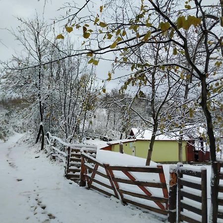 Holiday Home Nanin Konak 2 Vrdnik Esterno foto