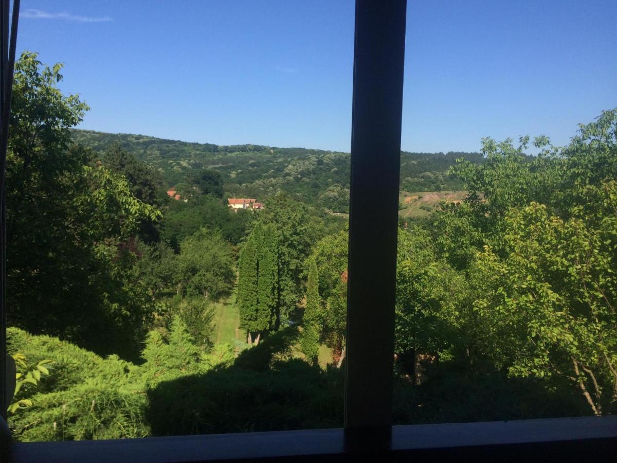 Holiday Home Nanin Konak 2 Vrdnik Esterno foto
