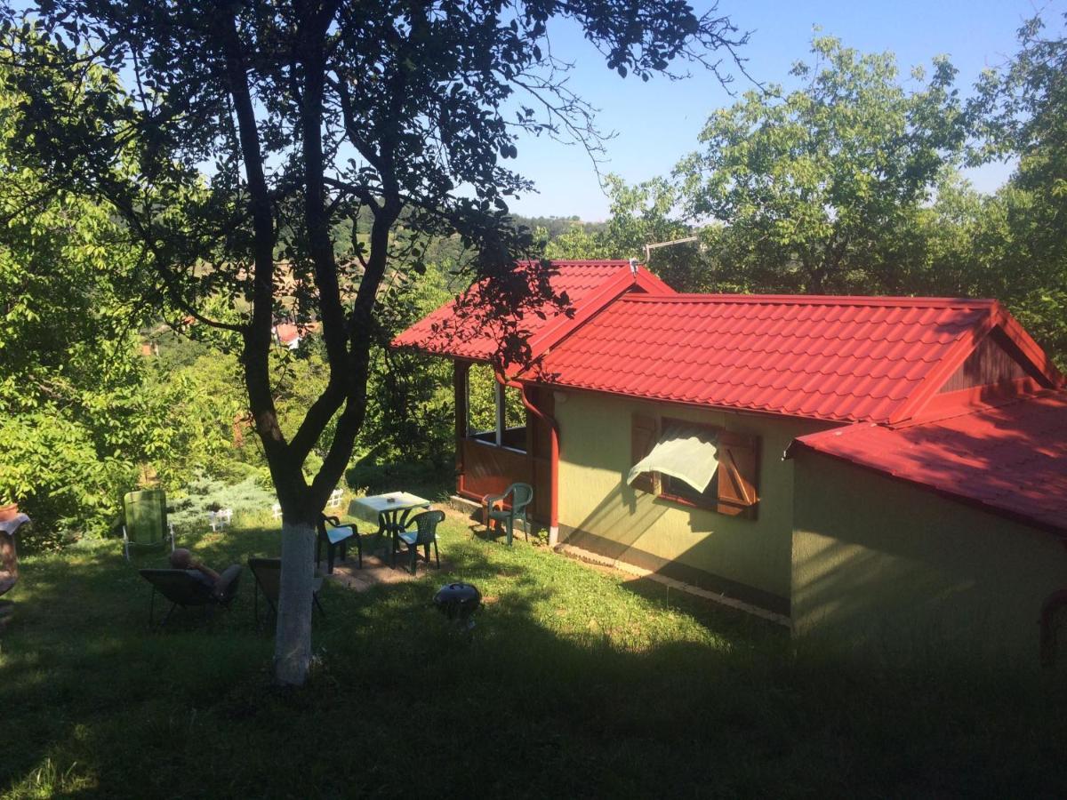 Holiday Home Nanin Konak 2 Vrdnik Esterno foto