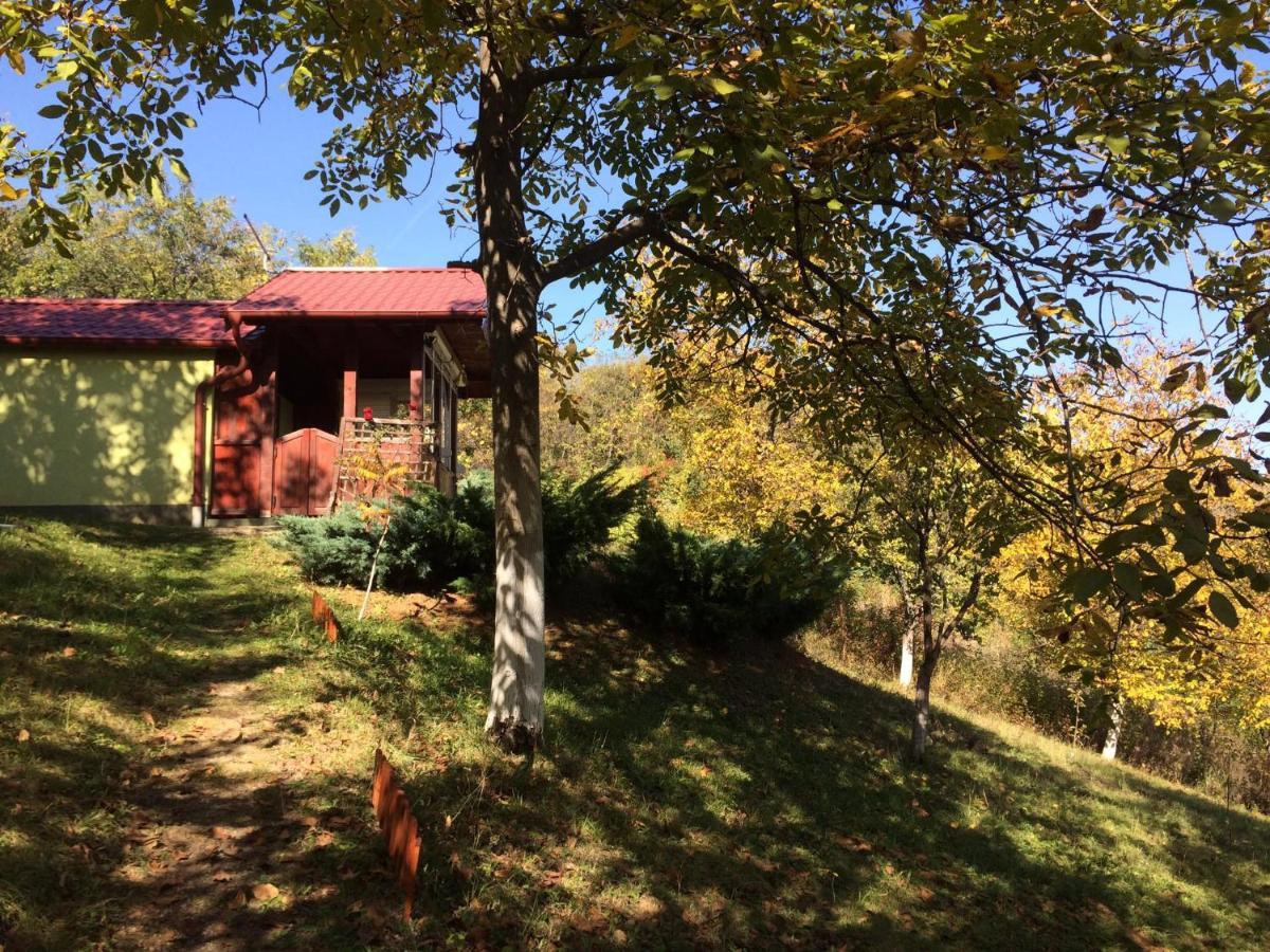 Holiday Home Nanin Konak 2 Vrdnik Esterno foto