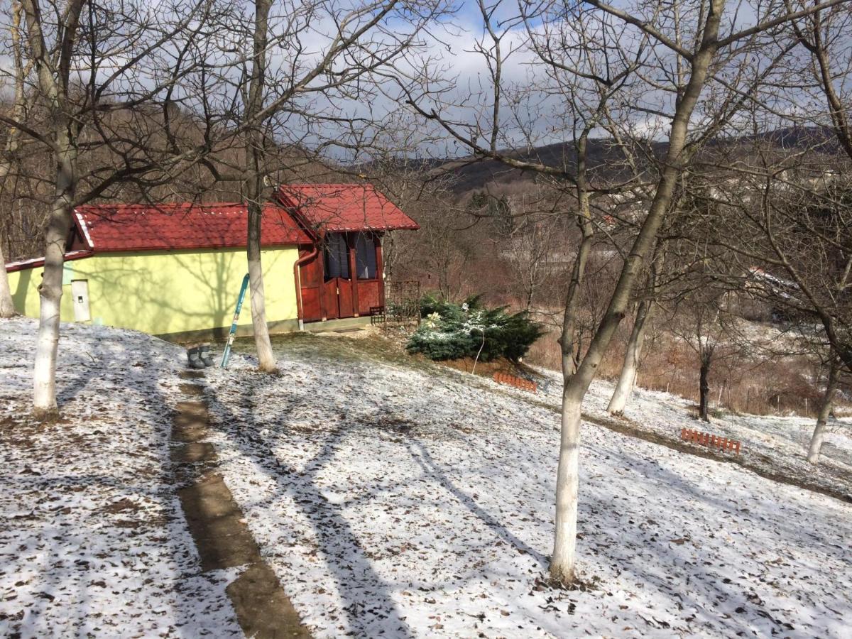 Holiday Home Nanin Konak 2 Vrdnik Esterno foto