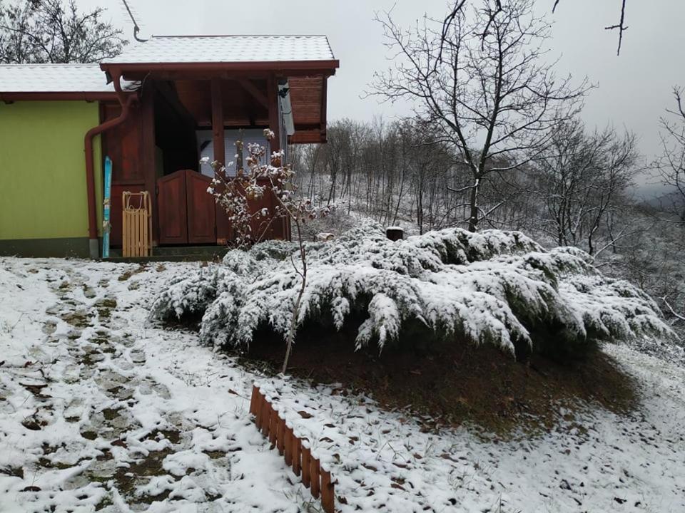 Holiday Home Nanin Konak 2 Vrdnik Esterno foto