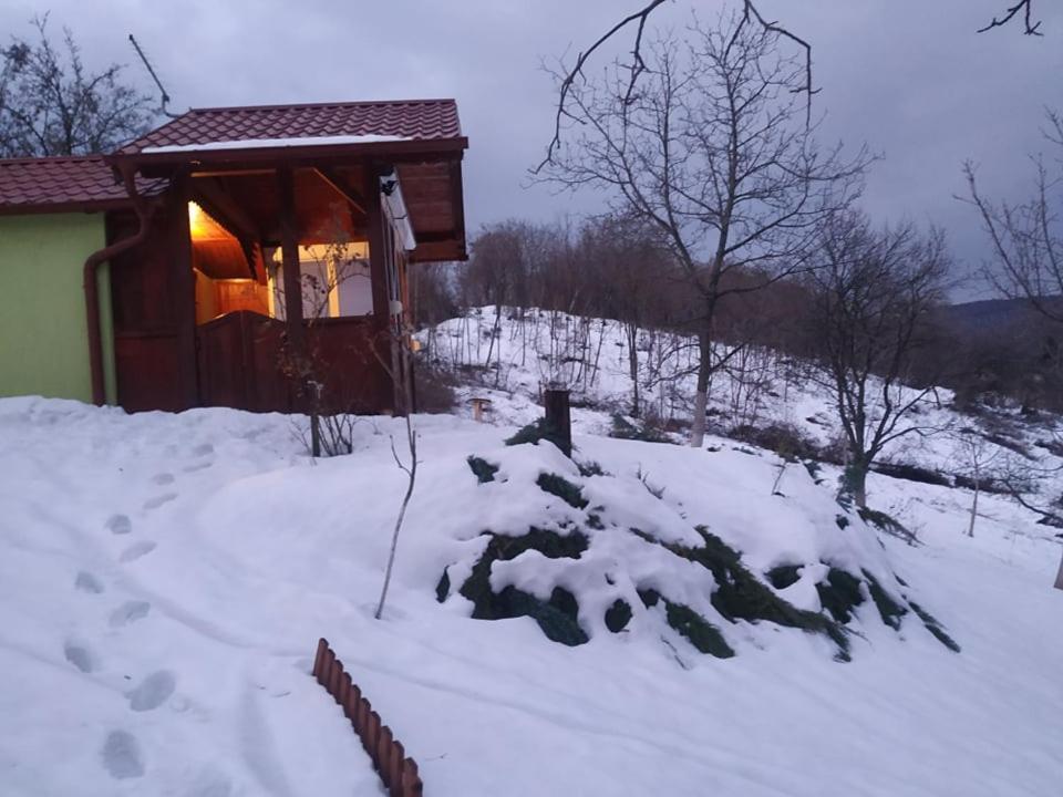 Holiday Home Nanin Konak 2 Vrdnik Esterno foto