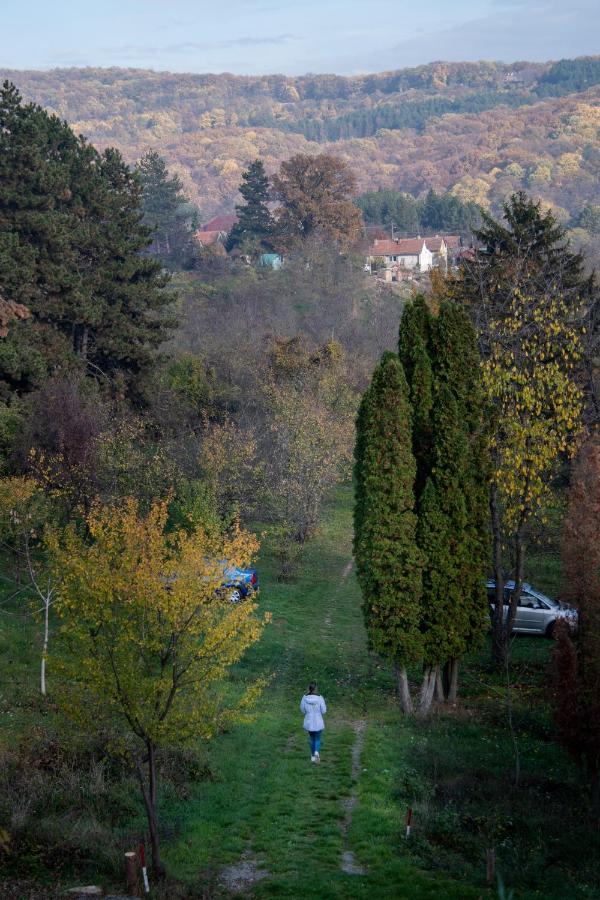 Holiday Home Nanin Konak 2 Vrdnik Esterno foto