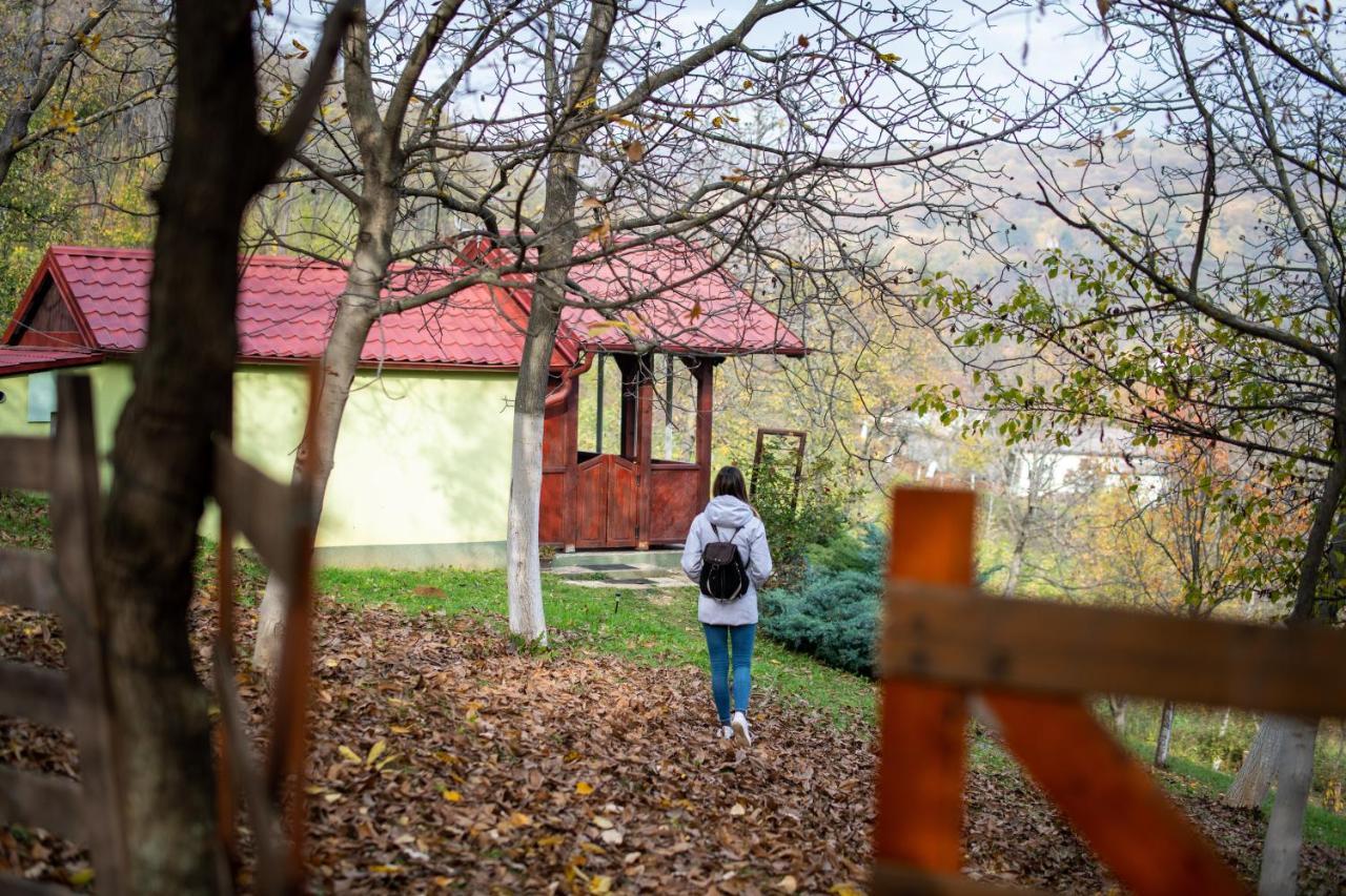 Holiday Home Nanin Konak 2 Vrdnik Esterno foto