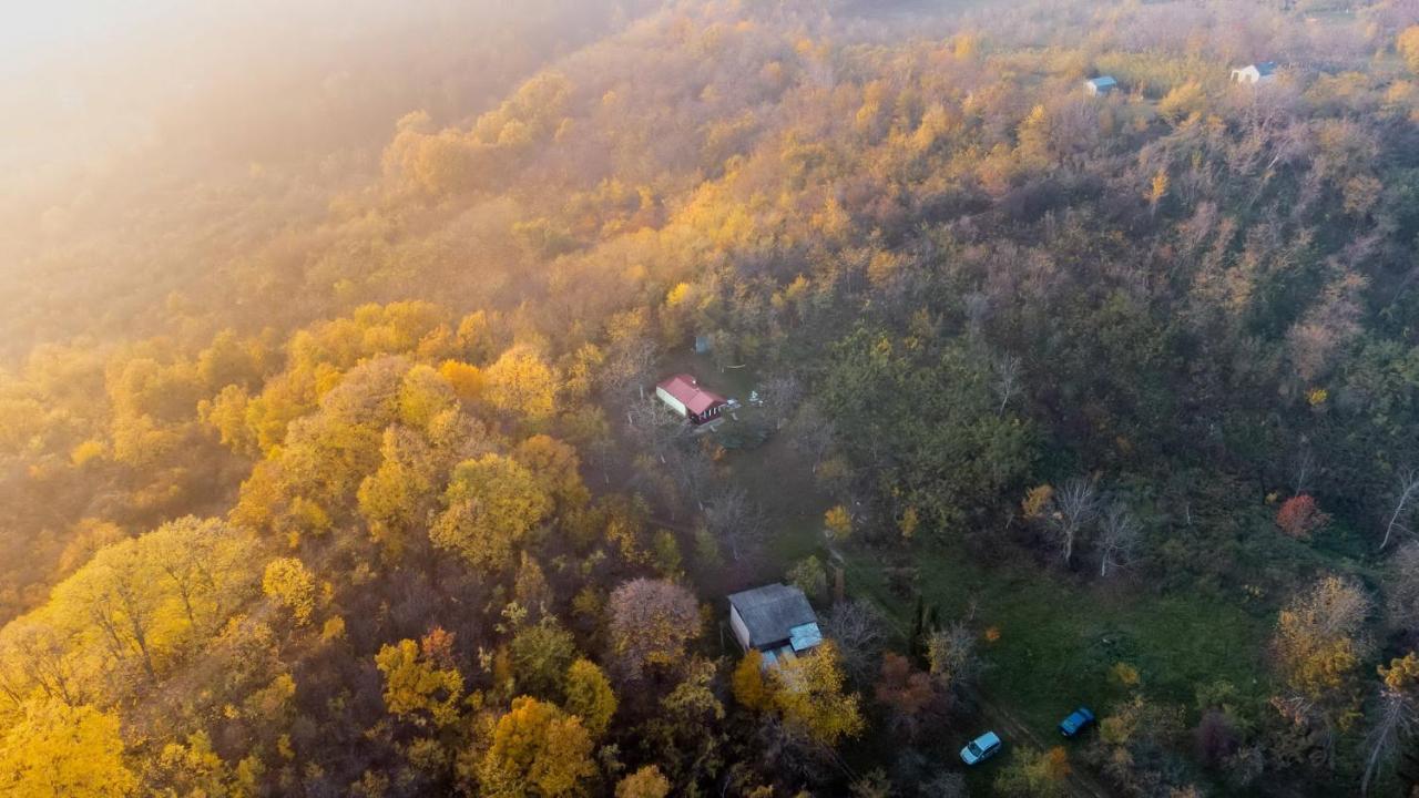 Holiday Home Nanin Konak 2 Vrdnik Esterno foto
