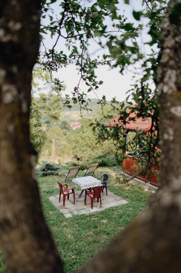 Holiday Home Nanin Konak 2 Vrdnik Esterno foto