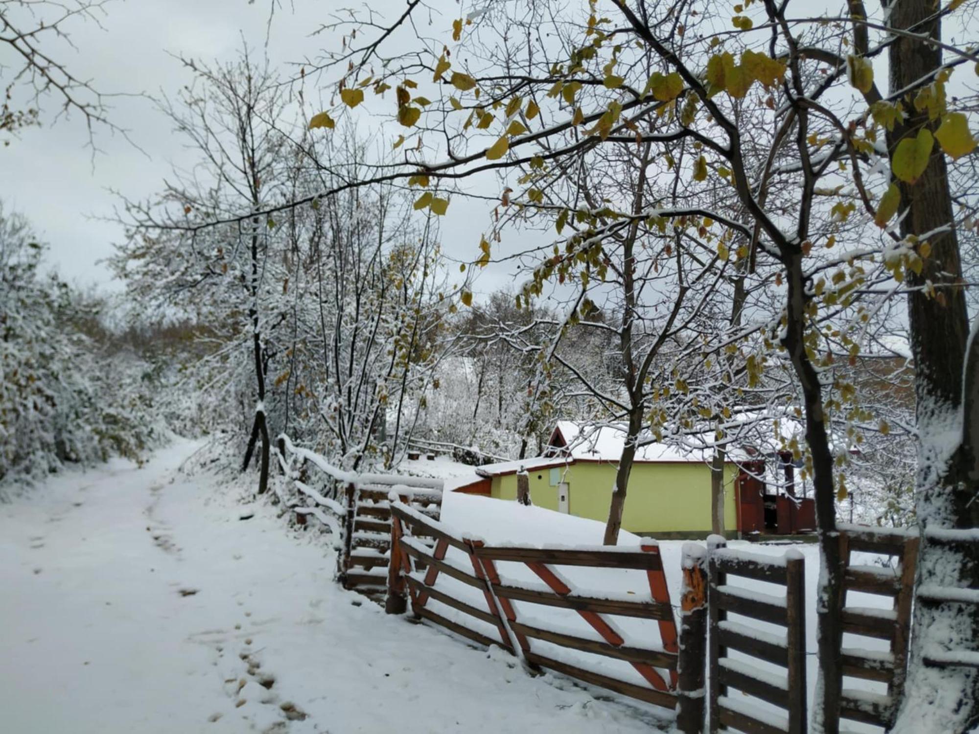 Holiday Home Nanin Konak 2 Vrdnik Esterno foto