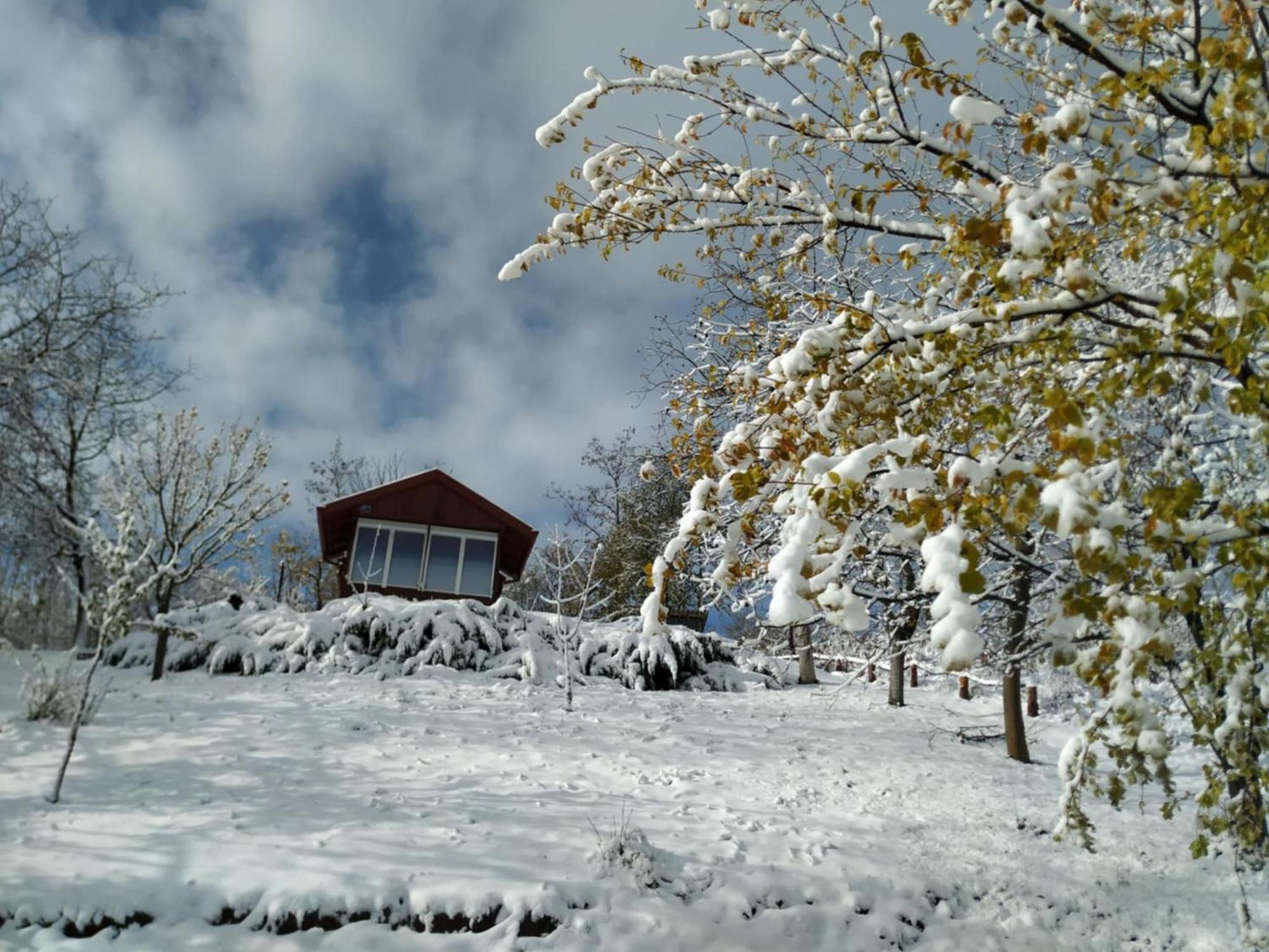 Holiday Home Nanin Konak 2 Vrdnik Esterno foto