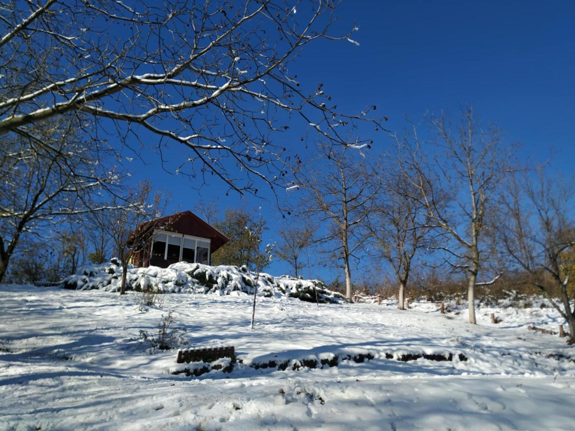 Holiday Home Nanin Konak 2 Vrdnik Esterno foto